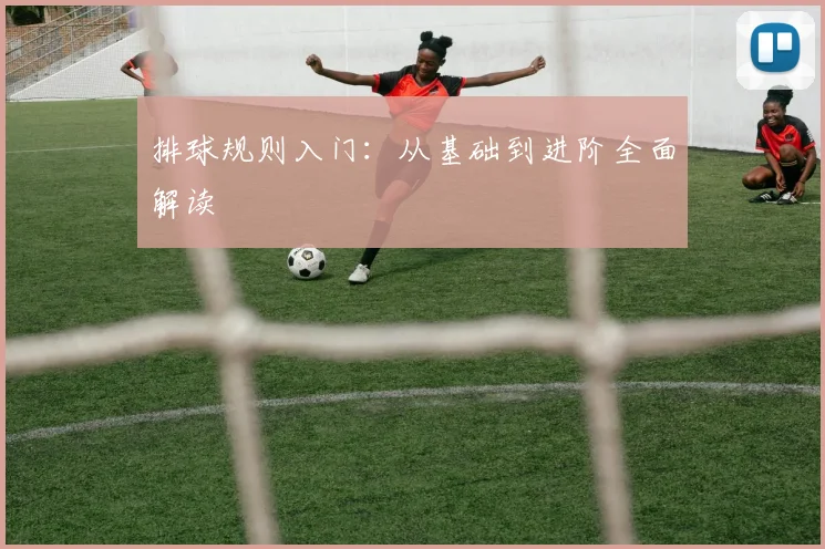 排球规则入门：从基础到进阶全面解读
