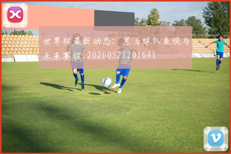 世界杯最新动态：黑马球队表现与未来赛程_20260521201641
