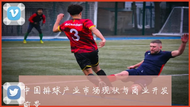 中国排球产业市场现状与商业开发前景