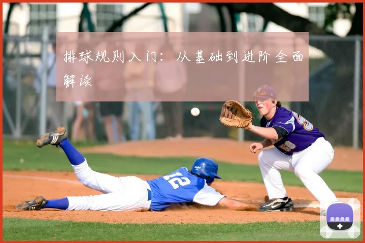 排球规则入门：从基础到进阶全面解读