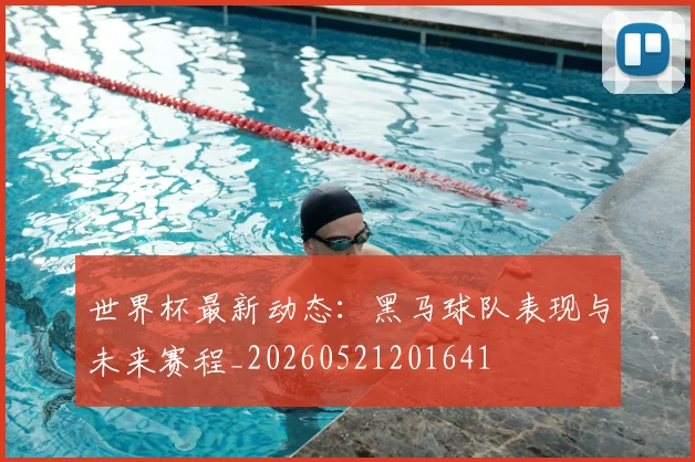世界杯最新动态：黑马球队表现与未来赛程_20260521201641