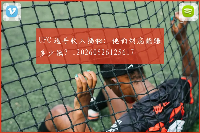 UFC 选手收入揭秘：他们到底能赚多少钱？_20260526125617