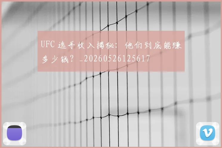 UFC 选手收入揭秘：他们到底能赚多少钱？_20260526125617