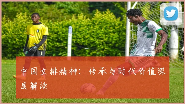 中国女排精神：传承与时代价值深度解读