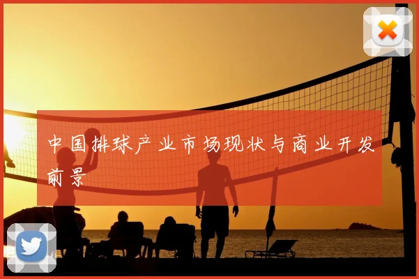 中国排球产业市场现状与商业开发前景